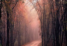 港股异动 | 碳酸锂供应端消息扰动持续 赣锋锂业(01772)跌近4% 天齐锂业(09696)跌超2%