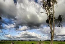 领信数科申请自適(shì)應(yīng)风险防(fáng)御方法专利，提高檢(jiǎn)測(cè)准确率