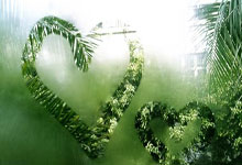 关于变更比赛场地的公告