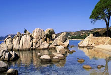 港股异动 | 碳酸锂供应端消息扰动持续 赣锋锂业(01772)跌近4% 天齐锂业(09696)跌超2%