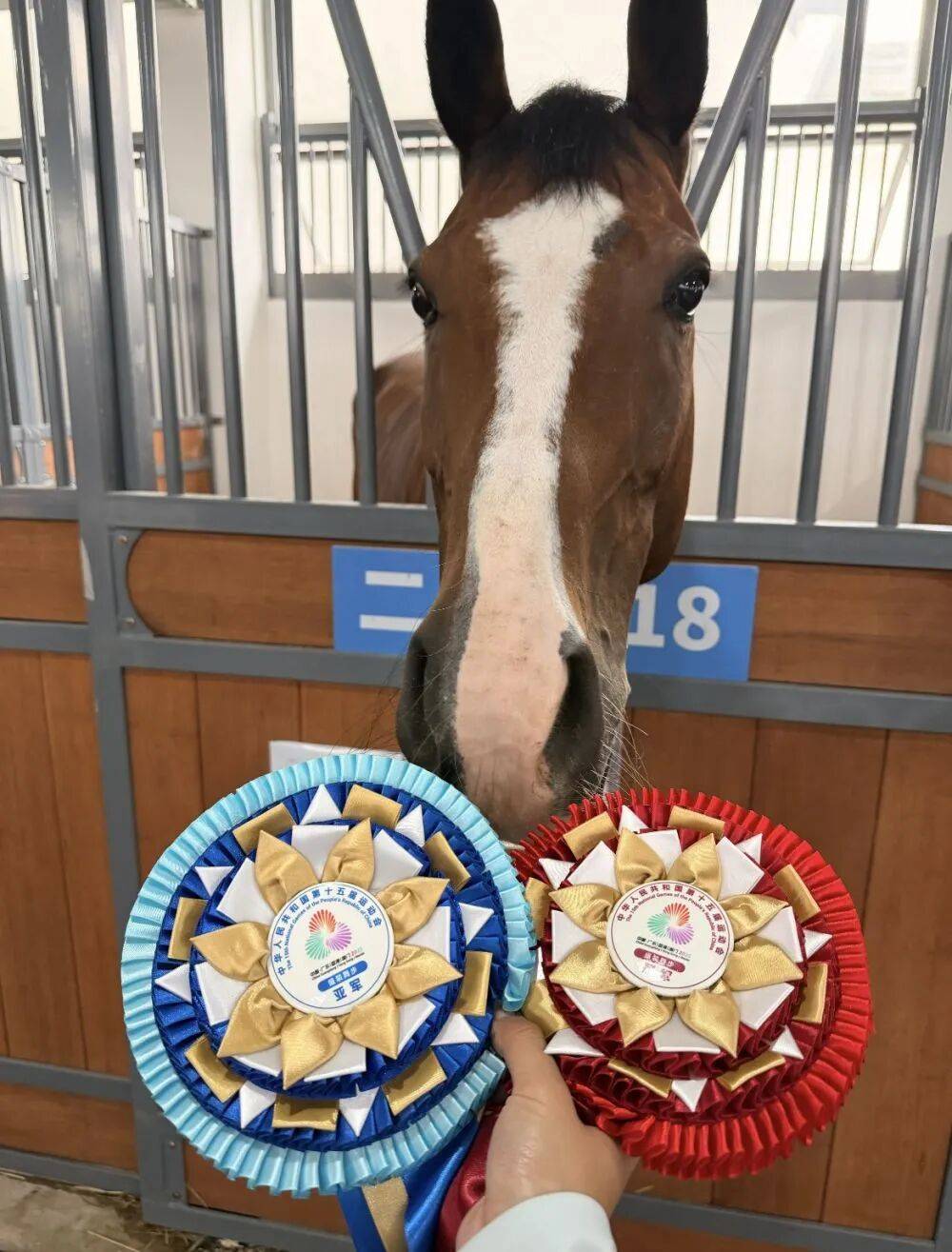 全运会马术比赛赢了，获奖马有奖牌么？