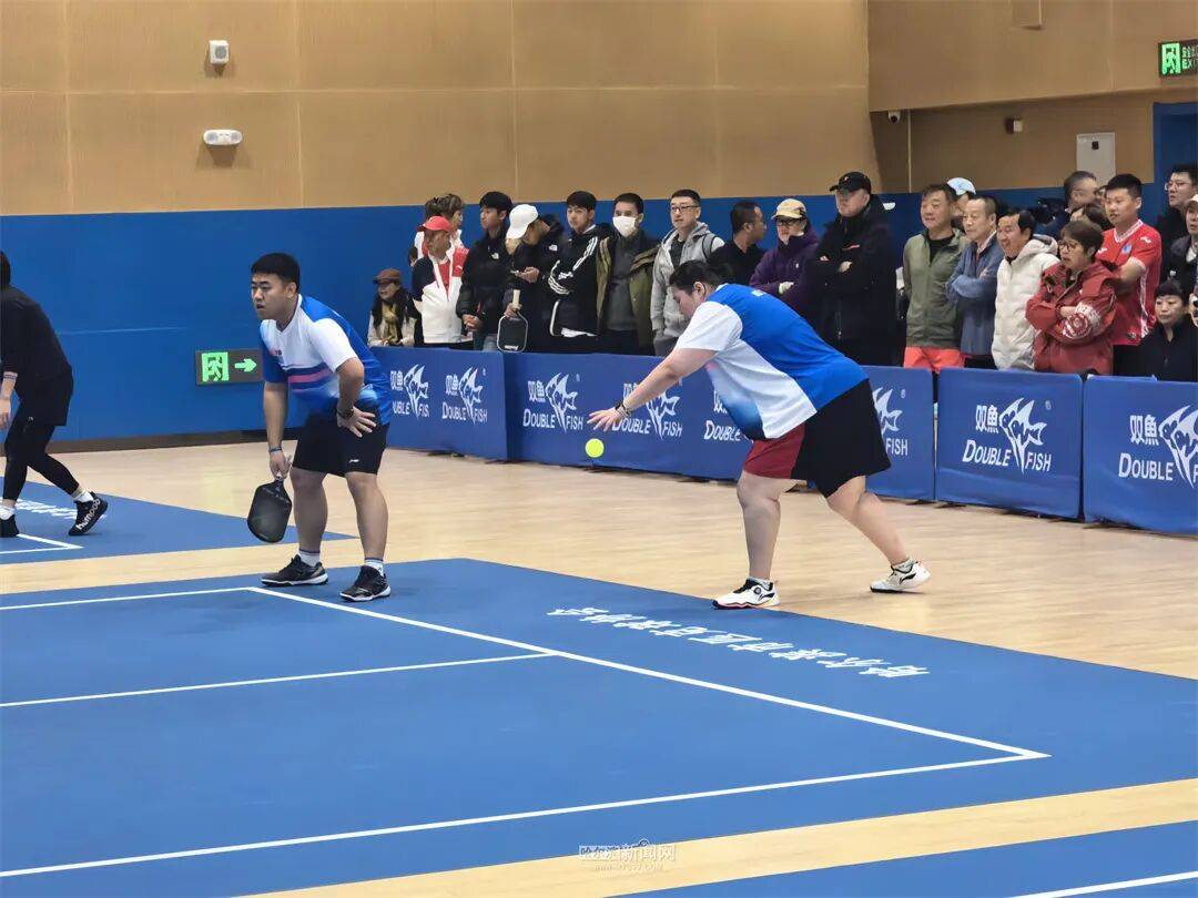 网球羽毛球乒乓球“三合一”|这项网红运动首次在哈开展正式比赛