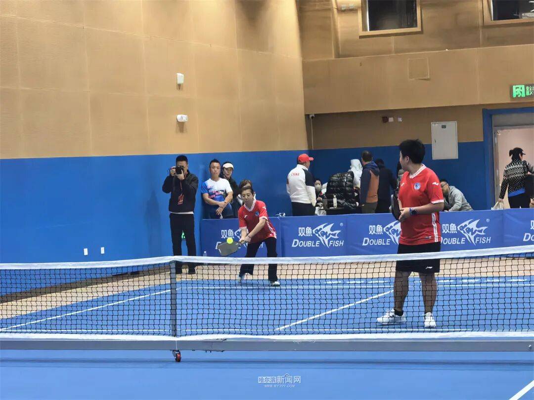 网球羽毛球乒乓球“三合一”|这项网红运动首次在哈开展正式比赛