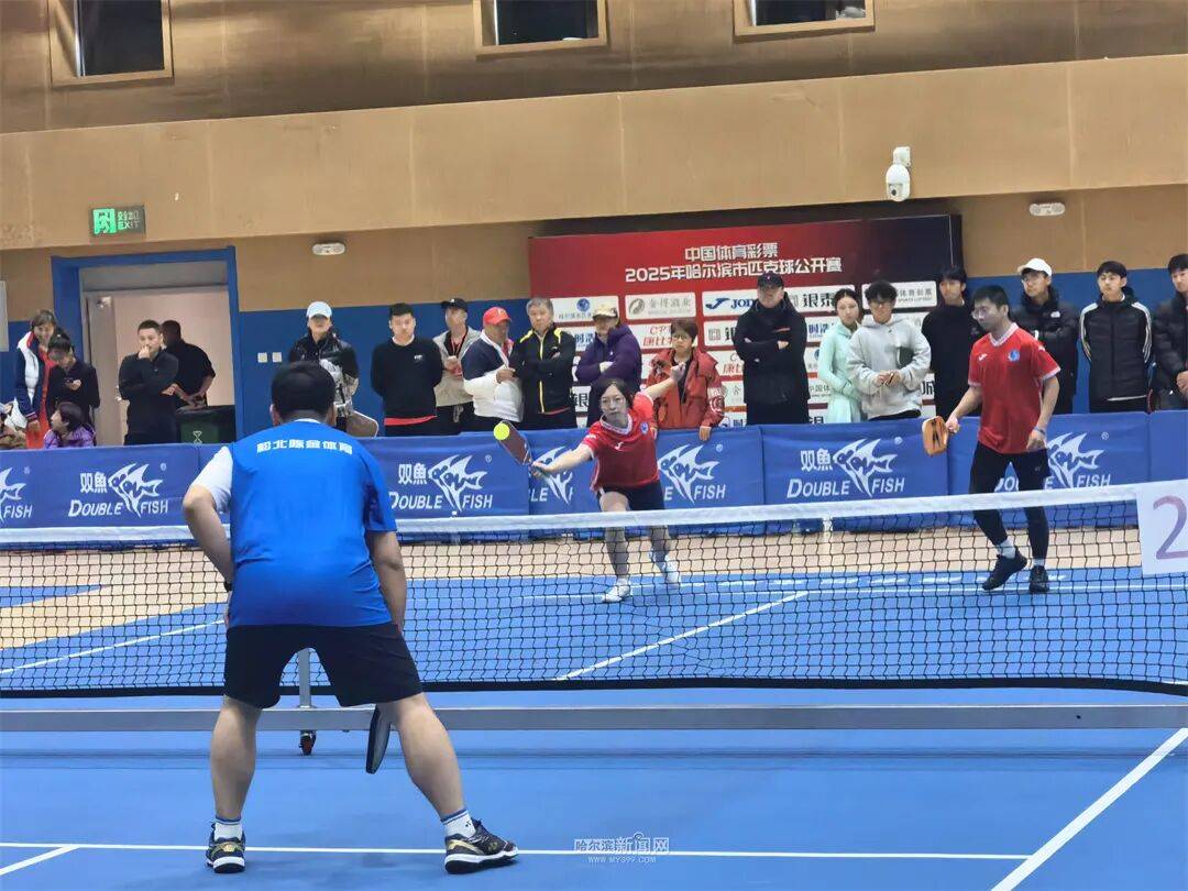 网球羽毛球乒乓球“三合一”|这项网红运动首次在哈开展正式比赛